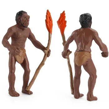 5 kom./compl. Povijest Evolucije Čovjeka Prikazuje Brojeve Modela Od Australopithecus Do Homo sapiens djeca Obrazovne Igračke, Pokloni